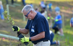 An F&M Employee removing a tree from its plastic container before planting.