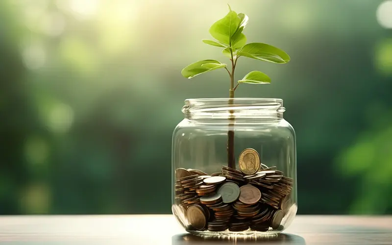plant growing in a jar full of coins