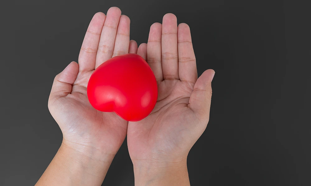 hands holding a heart shaped object