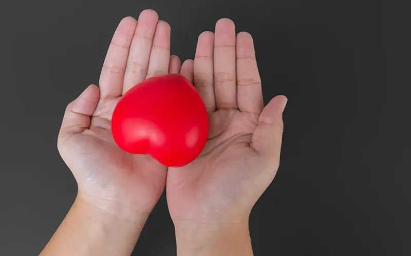 hands holding a heart shaped object