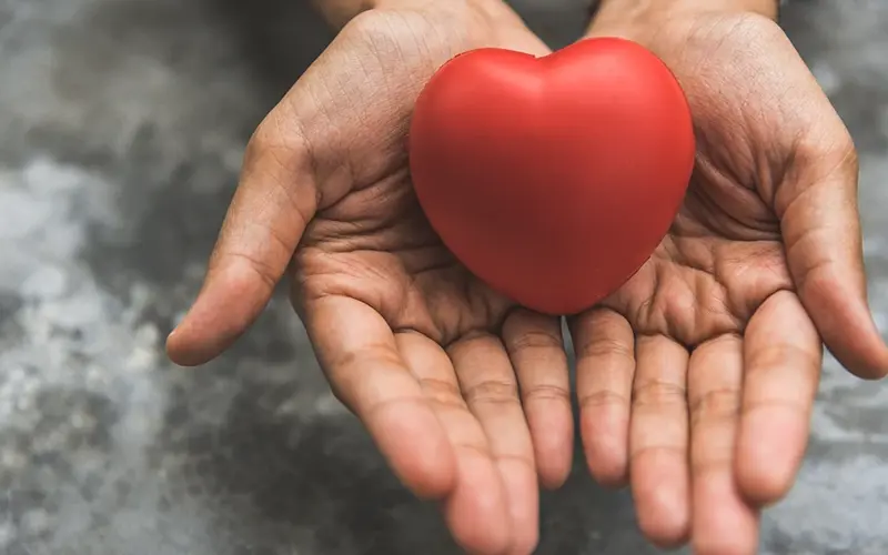 hands holding a heart shaped object