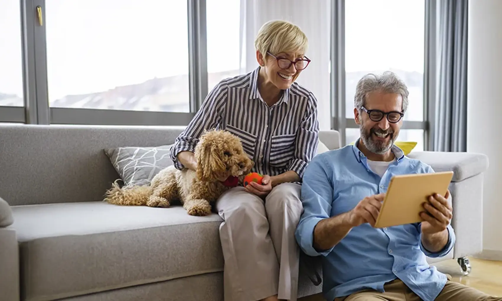 Adobestock 431446460 1200X500