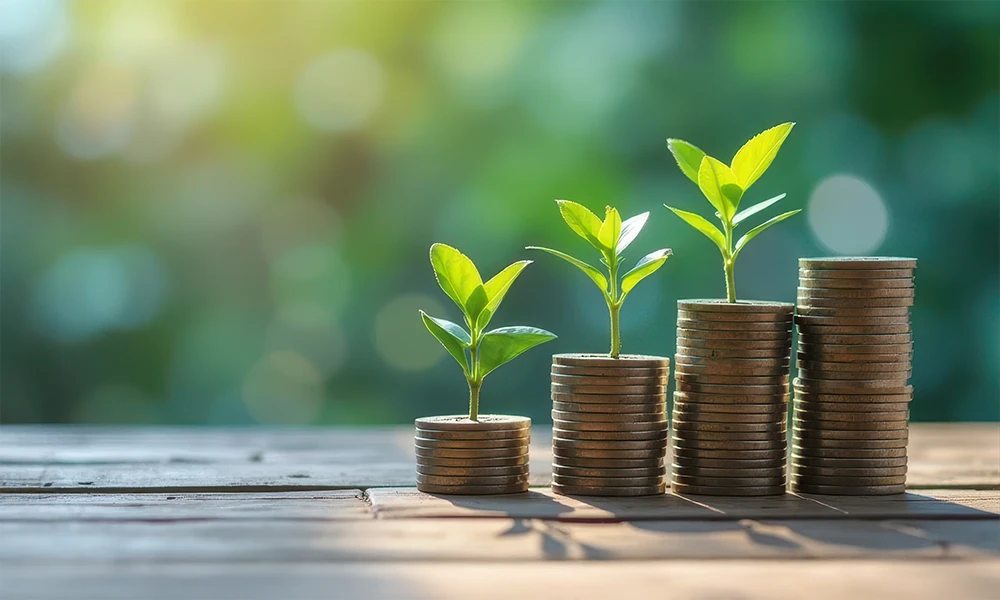 columns of coins with plants growing on top in the sunlight